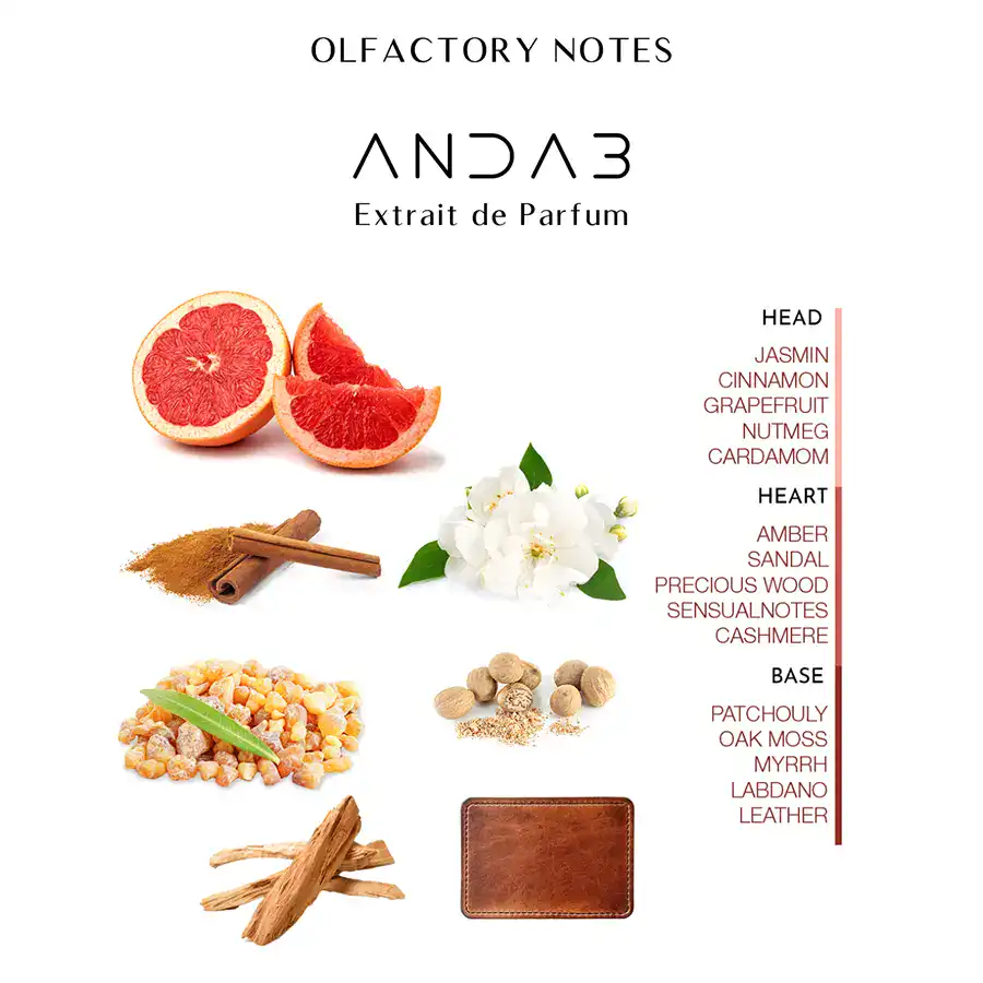 Andab-Notes